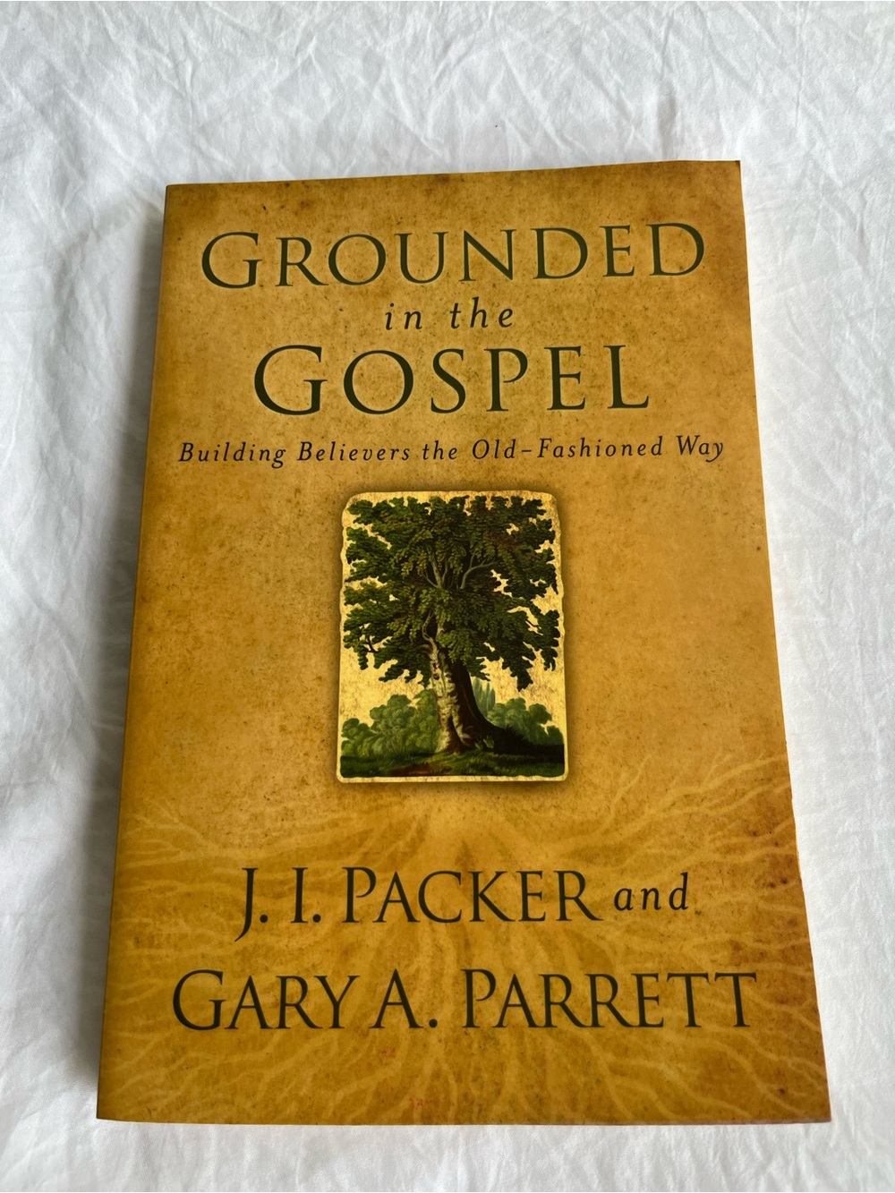 Grounded in the Gospel : Building Believers the Old-Fashioned Way by Gary A....